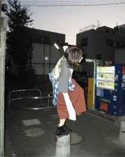 葵
