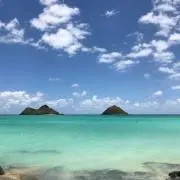 マハロの画像