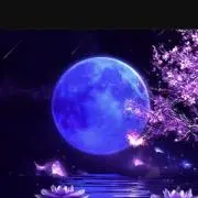 ちぃ