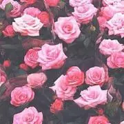 ♡8月末までの画像