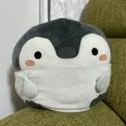 たけしの画像