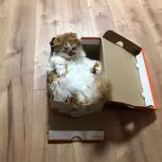 ☆YAMA☆  ✌︎値段交渉大歓迎✌︎☆
