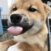 お坊の画像