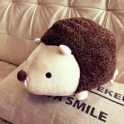 さららんの画像
