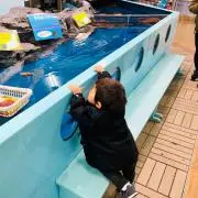 たなさん