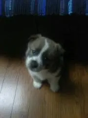 くず