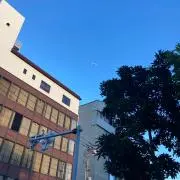 とんとこトン