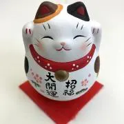 Miiの画像