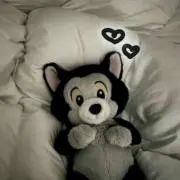 ¿