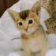 のいちゃん