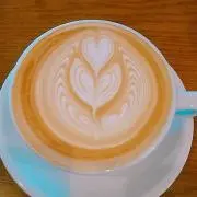杏の画像