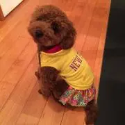 つんつん