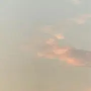 みみの画像