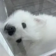 teruの画像