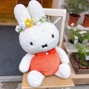 ぴーなっつ☆まとめ買い割引します！の画像