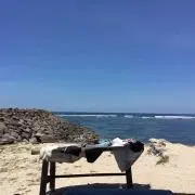 llysの画像