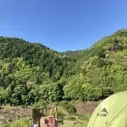 チーターの画像