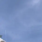 yの画像