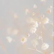 yuuki ⿻*.プロフ必読⿻*.の画像