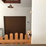 かぴばら