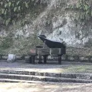ケイの画像