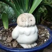 ふくPの画像