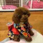 もっちゃん