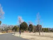 kuの画像