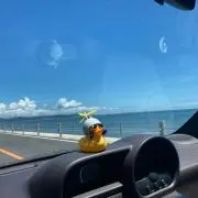 Keiの画像