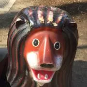ライオンの画像