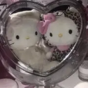 どんの画像