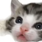 ゆうの画像