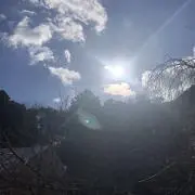Sun Gardenの画像