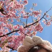 すずの画像
