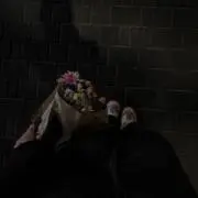 ⭐️