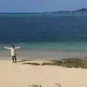 まりんぼーの画像