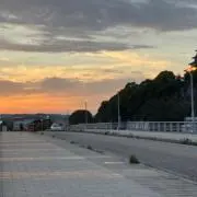 Mの画像