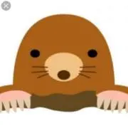 もぐら
