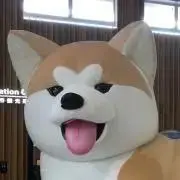 わんこの画像