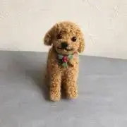 Rinの画像