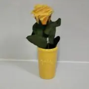 さぉちゃんの画像