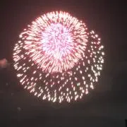 さくら  ちゃん