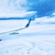 ふぇるの画像