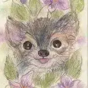 洗濯船の画像