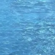umiの画像