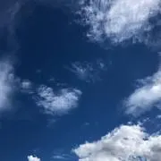 みゆゆゅ
