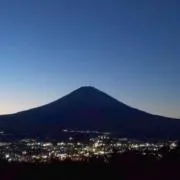 なめこの画像