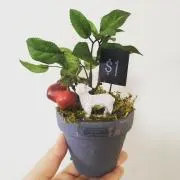 てと☆プロフ必読