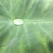 ひろ