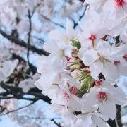 【現在全品値下げ中】激安販売いたします！